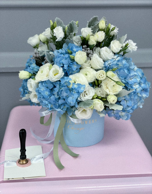 Box “Blue Dreams”