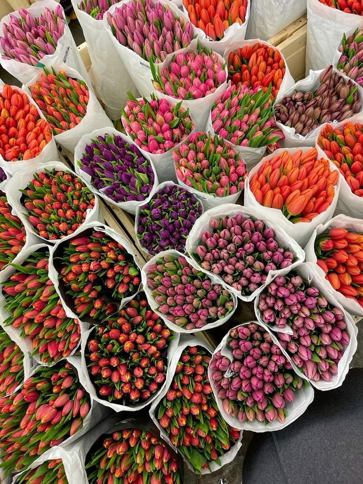 Bouquet of Tulips - Designer Choice Color