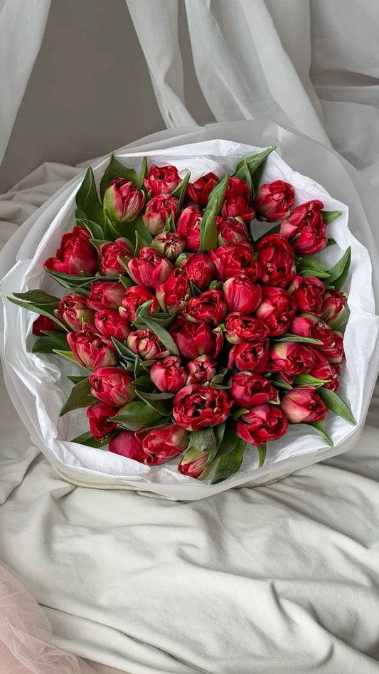 Bouquet of Red Tulips